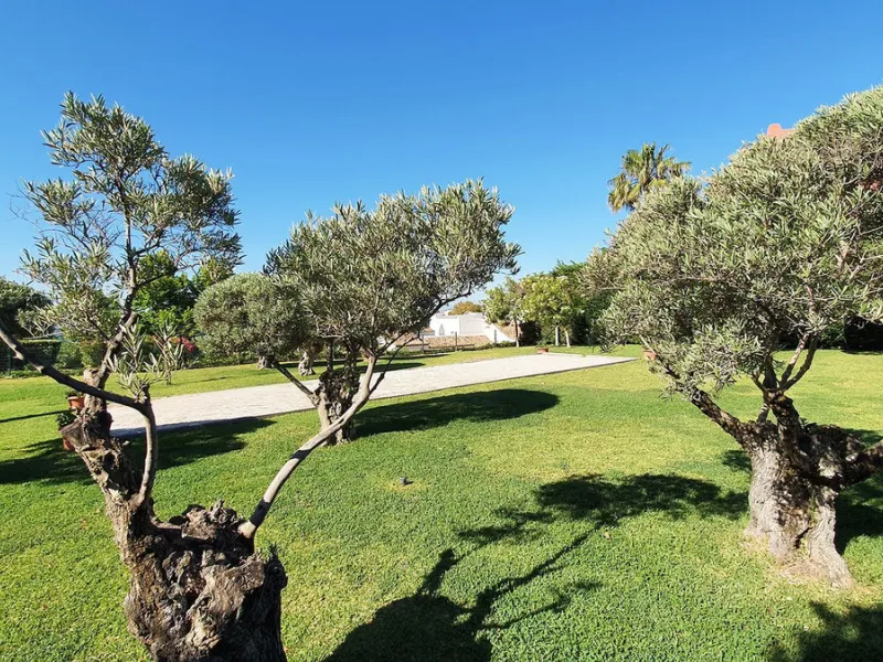 Spacious apartment with sea views for sale on the Costa del Sol in a charming residence in Benalmádena. This property boasts generous living spaces and a beautiful terrace with exceptional sea views. The residence is peaceful and well-maintained, just thr