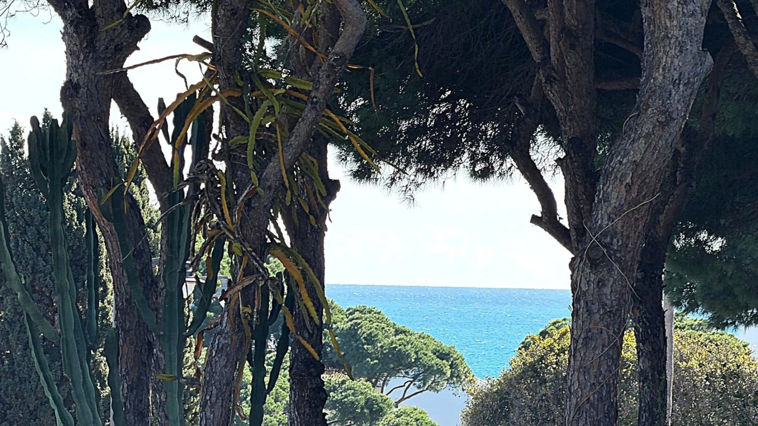 Land with development project and approved building permit for an aparthotel in Calahonda, Mijas