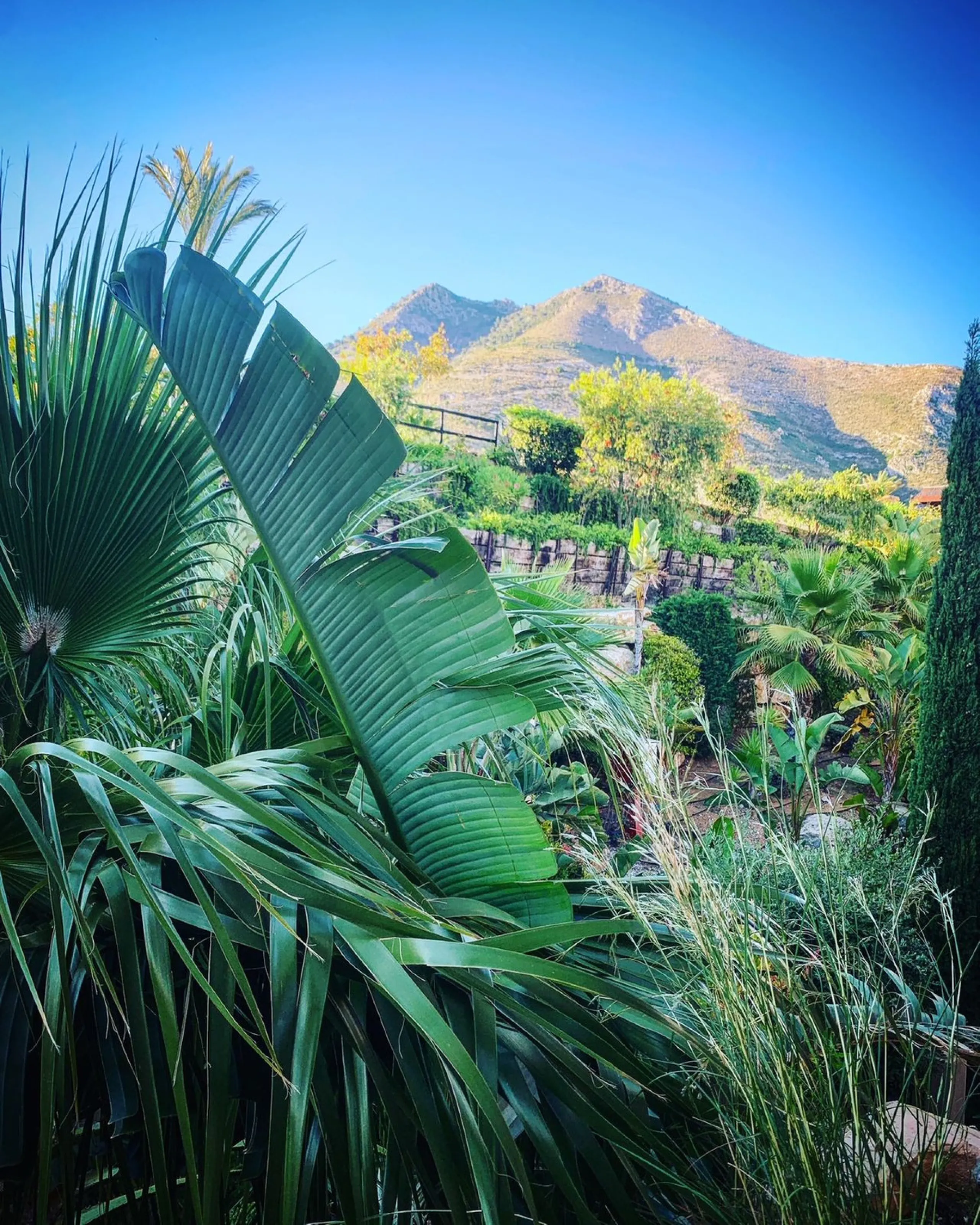 Opportunity for Developers, a plot of 7.200 m2 for 18 single-family homes, with a buildable ceiling of 2.500m2; being 7 independent plots and exclusive mode in Benalmádena, idyllic setting of the Costa del Sol, south facing, surrounded by the magnificent 