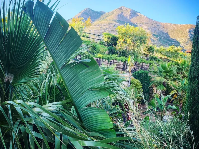 Opportunity for Developers, a plot of 7.200 m2 for 18 single-family homes, with a buildable ceiling of 2.500m2; being 7 independent plots and exclusive mode in Benalmádena, idyllic setting of the Costa del Sol, south facing, surrounded by the magnificent 
