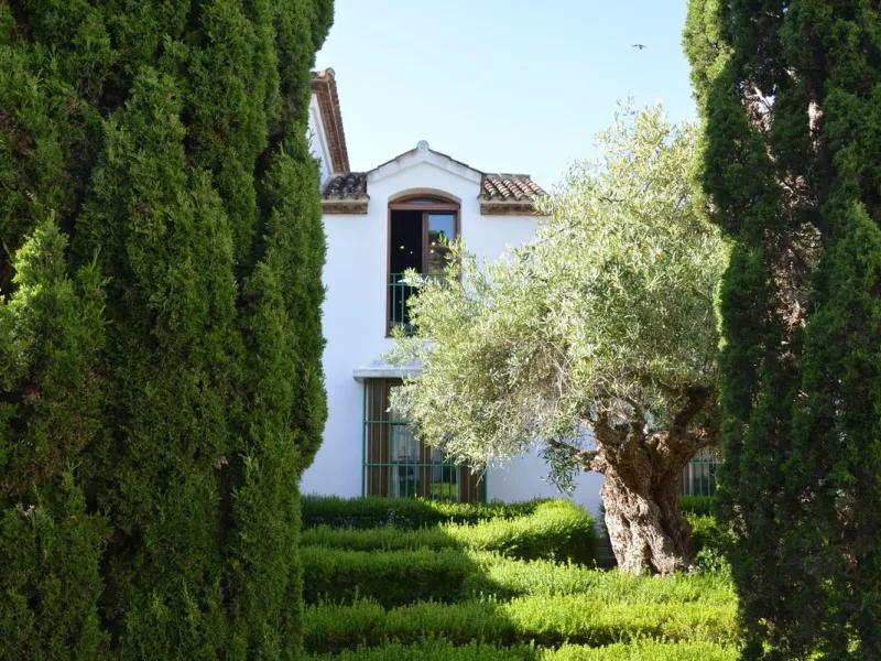 Финка, Estepona, Costa del Sol