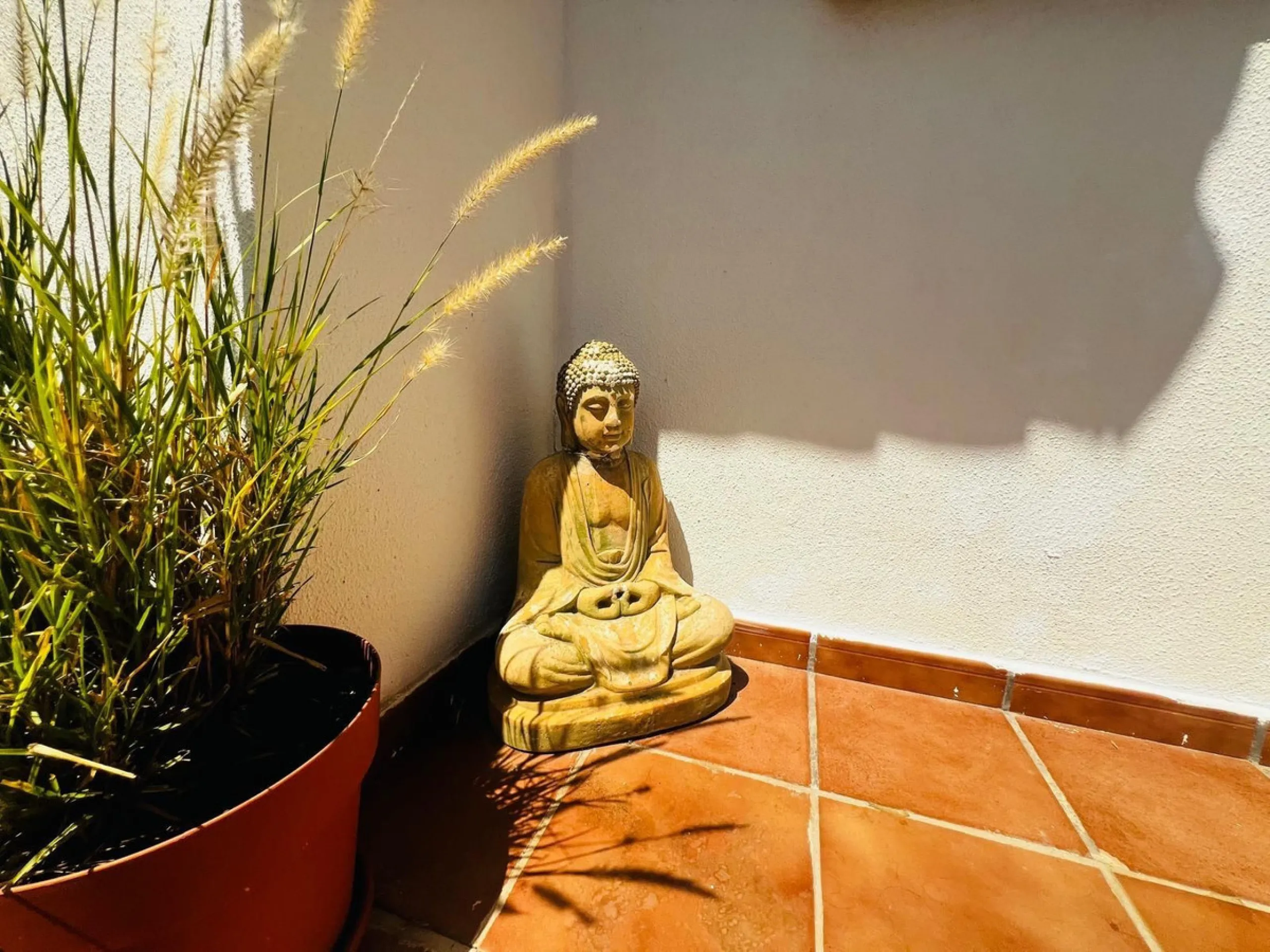 Unique Duplex Opportunity in Chullera, Manilva – Costa del Sol Gem!