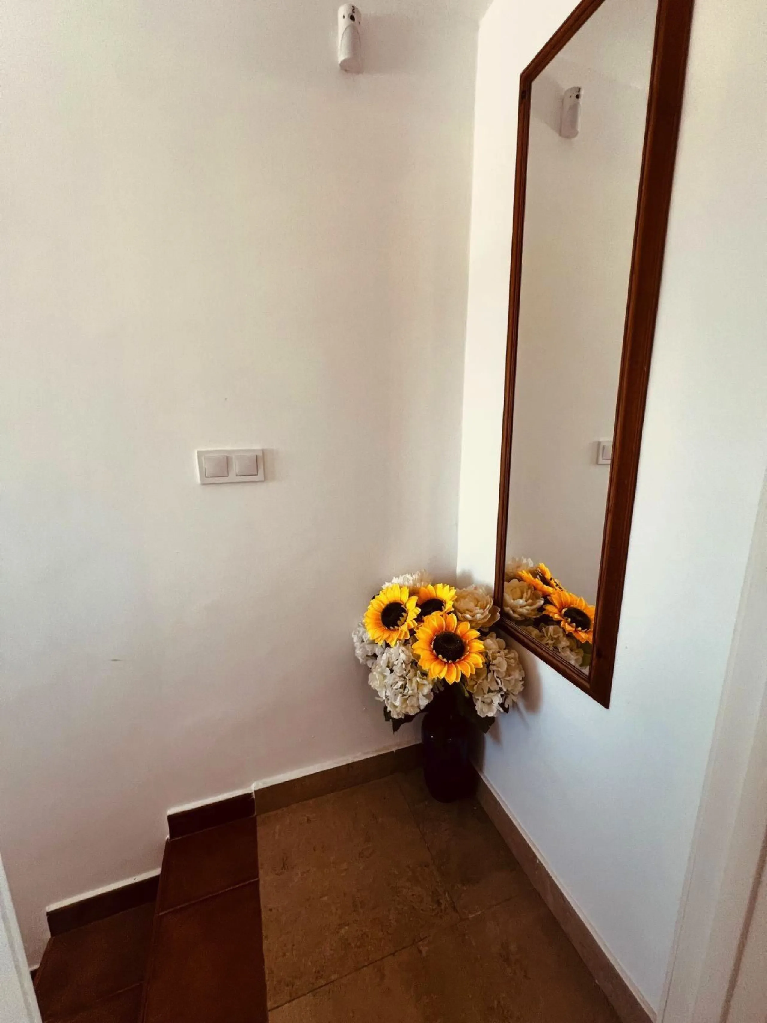 Unique Duplex Opportunity in Chullera, Manilva – Costa del Sol Gem!
