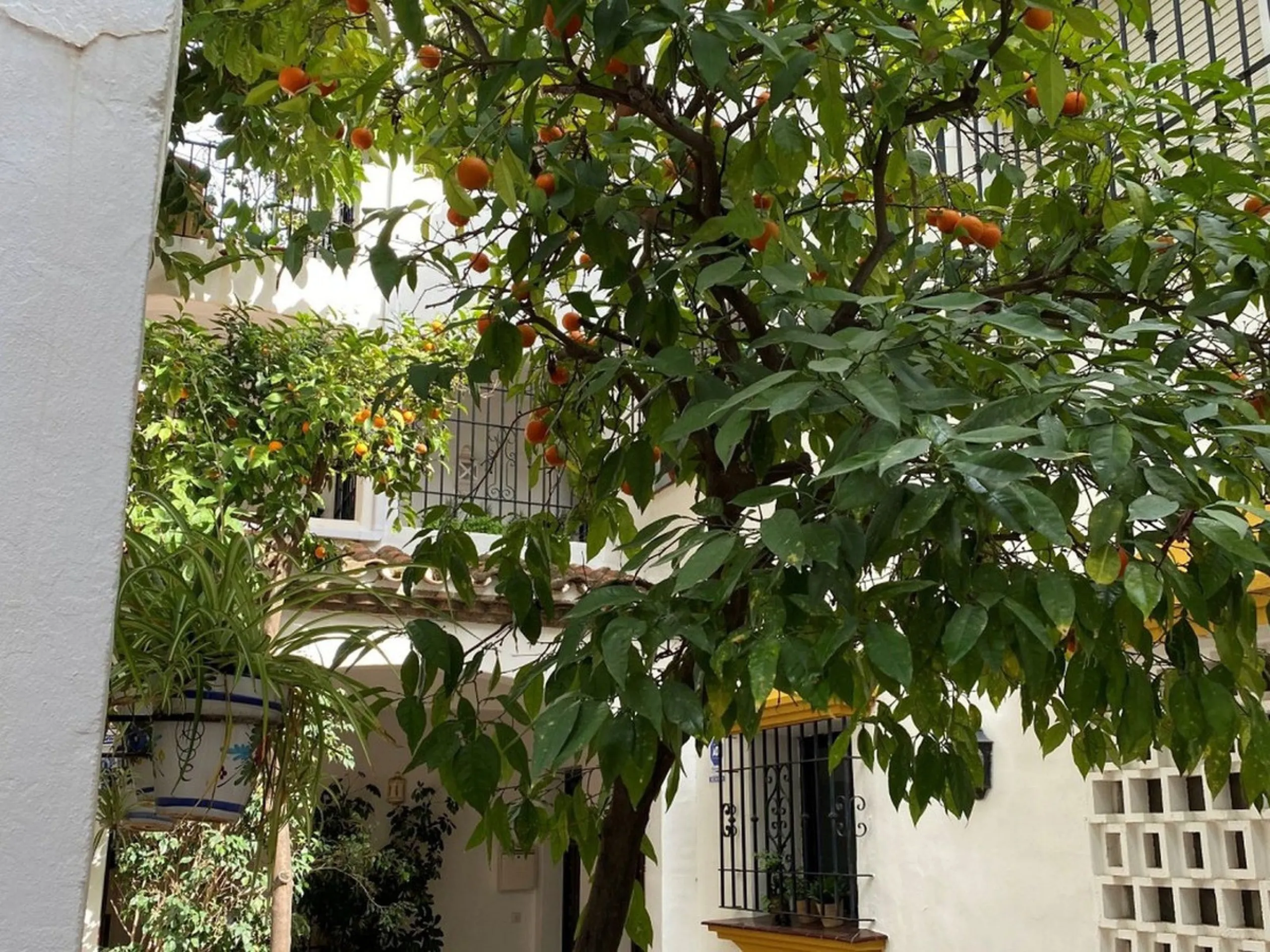 A delightful 2-bedroom middle floor apartment located in the popular residential development of Las Terrazas in Los Almendros, near Monte Halcones.