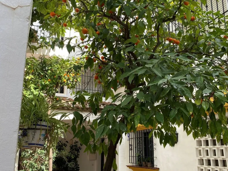 A delightful 2-bedroom middle floor apartment located in the popular residential development of Las Terrazas in Los Almendros, near Monte Halcones.