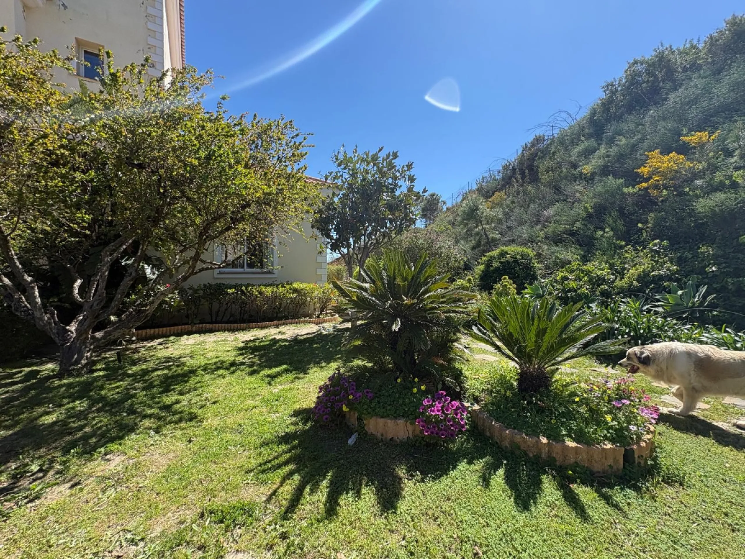 Stunning Villa with Sea and Mountain Views in Forest Hills (Estepona)