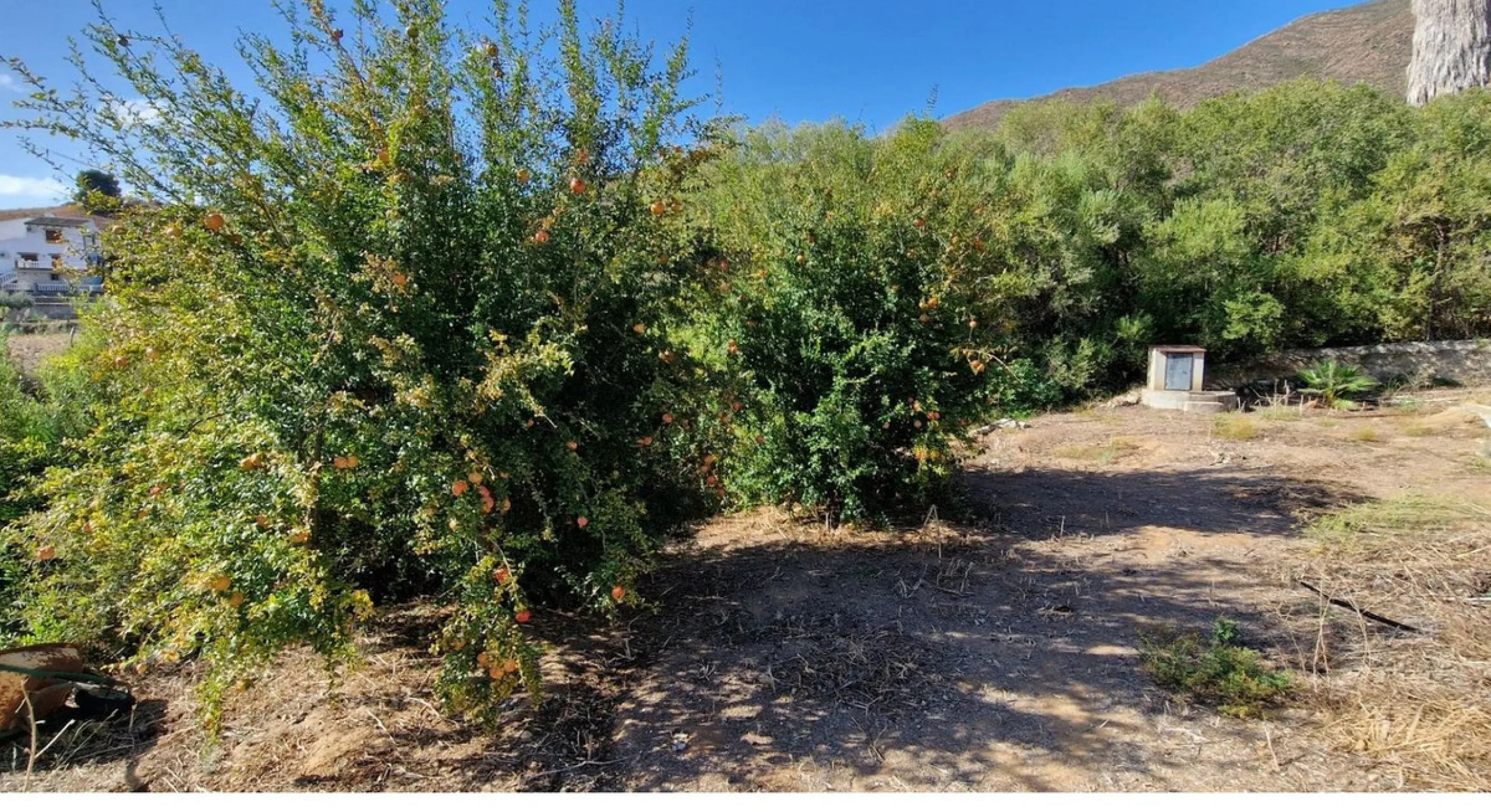 Nestled beside a protected natural reserve, this charming rustic property offers privacy, space, and breathtaking panoramic views of the surrounding mountains and from the top terrace you even have seaviews. A perfect blend of countryside tranquility and 