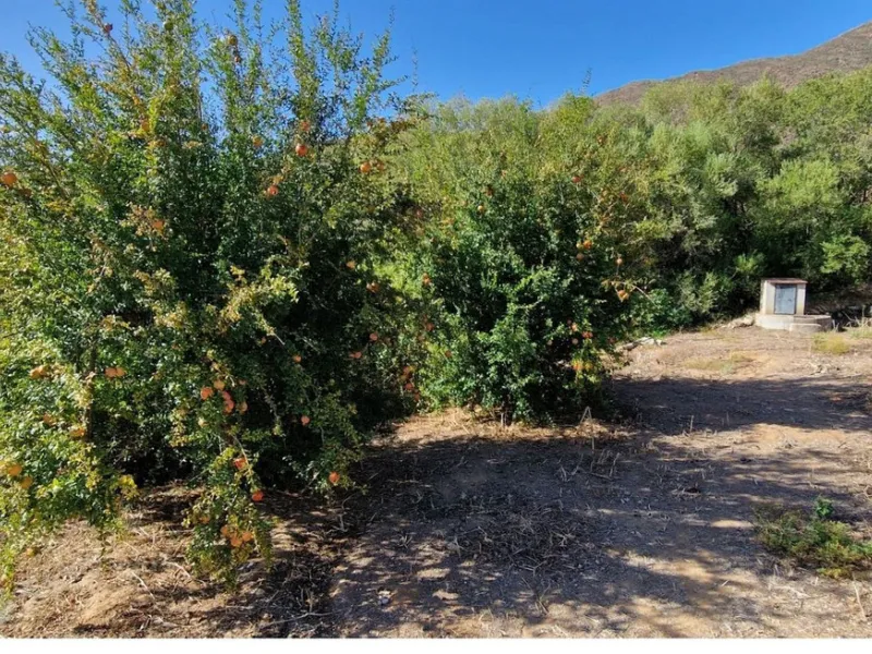 Nestled beside a protected natural reserve, this charming rustic property offers privacy, space, and breathtaking panoramic views of the surrounding mountains and from the top terrace you even have seaviews. A perfect blend of countryside tranquility and 