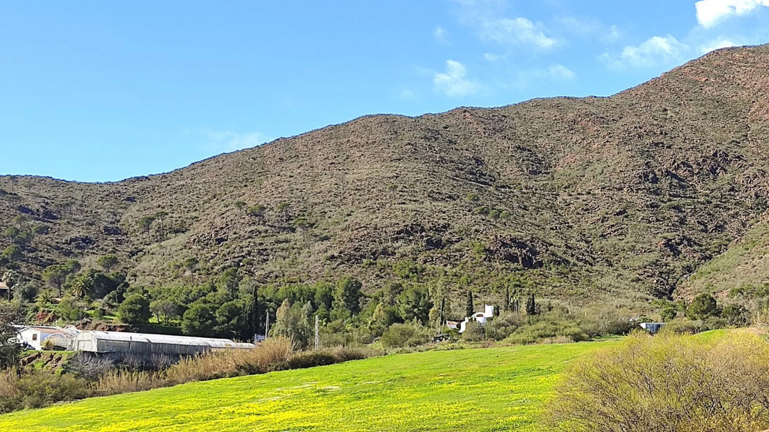 Nestled beside a protected natural reserve, this charming rustic property offers privacy, space, and breathtaking panoramic views of the surrounding mountains and from the top terrace you even have seaviews. A perfect blend of countryside tranquility and 