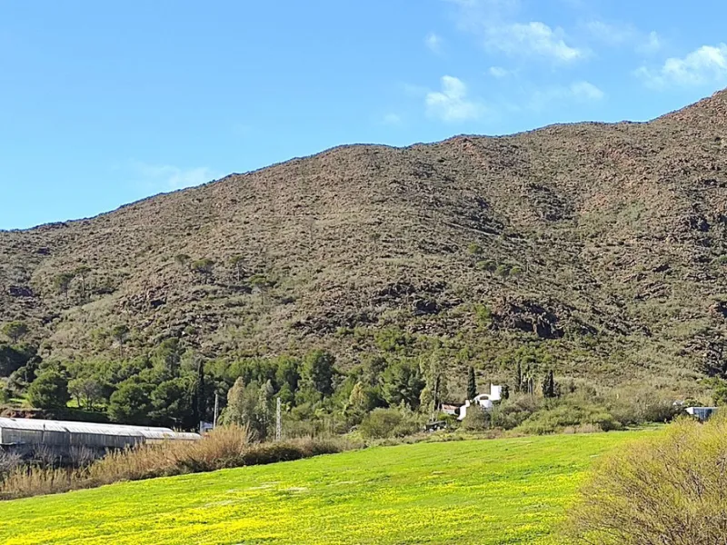 Nestled beside a protected natural reserve, this charming rustic property offers privacy, space, and breathtaking panoramic views of the surrounding mountains and from the top terrace you even have seaviews. A perfect blend of countryside tranquility and 