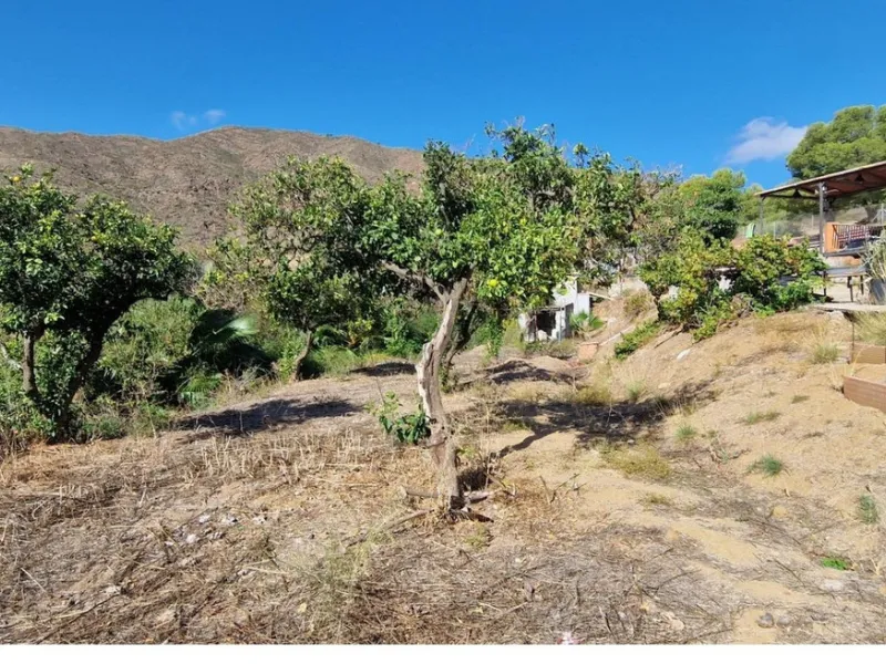 Nestled beside a protected natural reserve, this charming rustic property offers privacy, space, and breathtaking panoramic views of the surrounding mountains and from the top terrace you even have seaviews. A perfect blend of countryside tranquility and 
