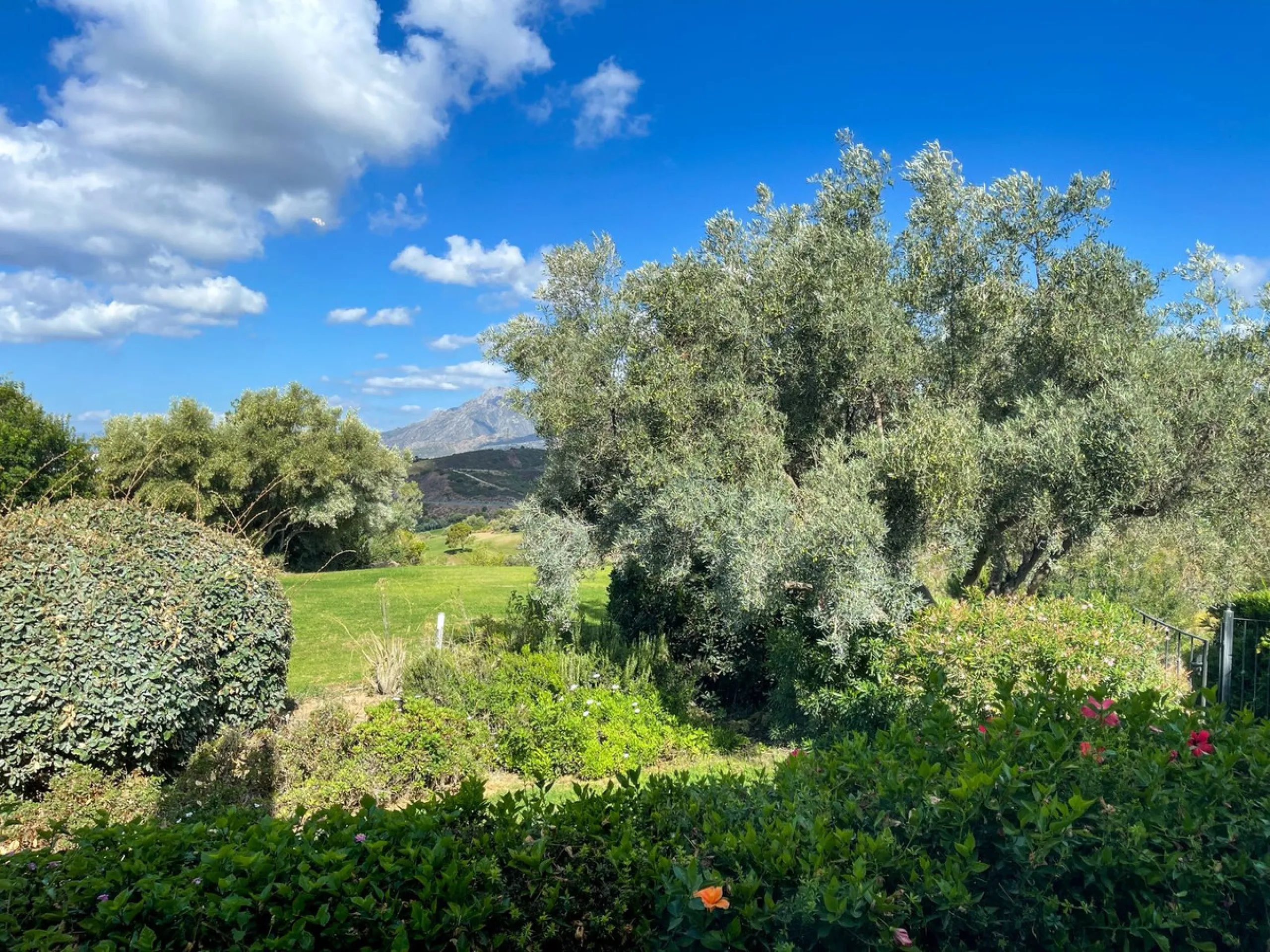 Detached Villa, El Rosario Marbella east