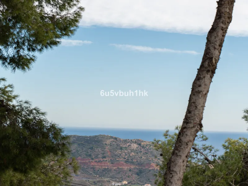 Pinares de San Antón is one of Málaga East's most established residential enclaves, calm, green, and discreet, yet still close enough to feel connected to the city every day.