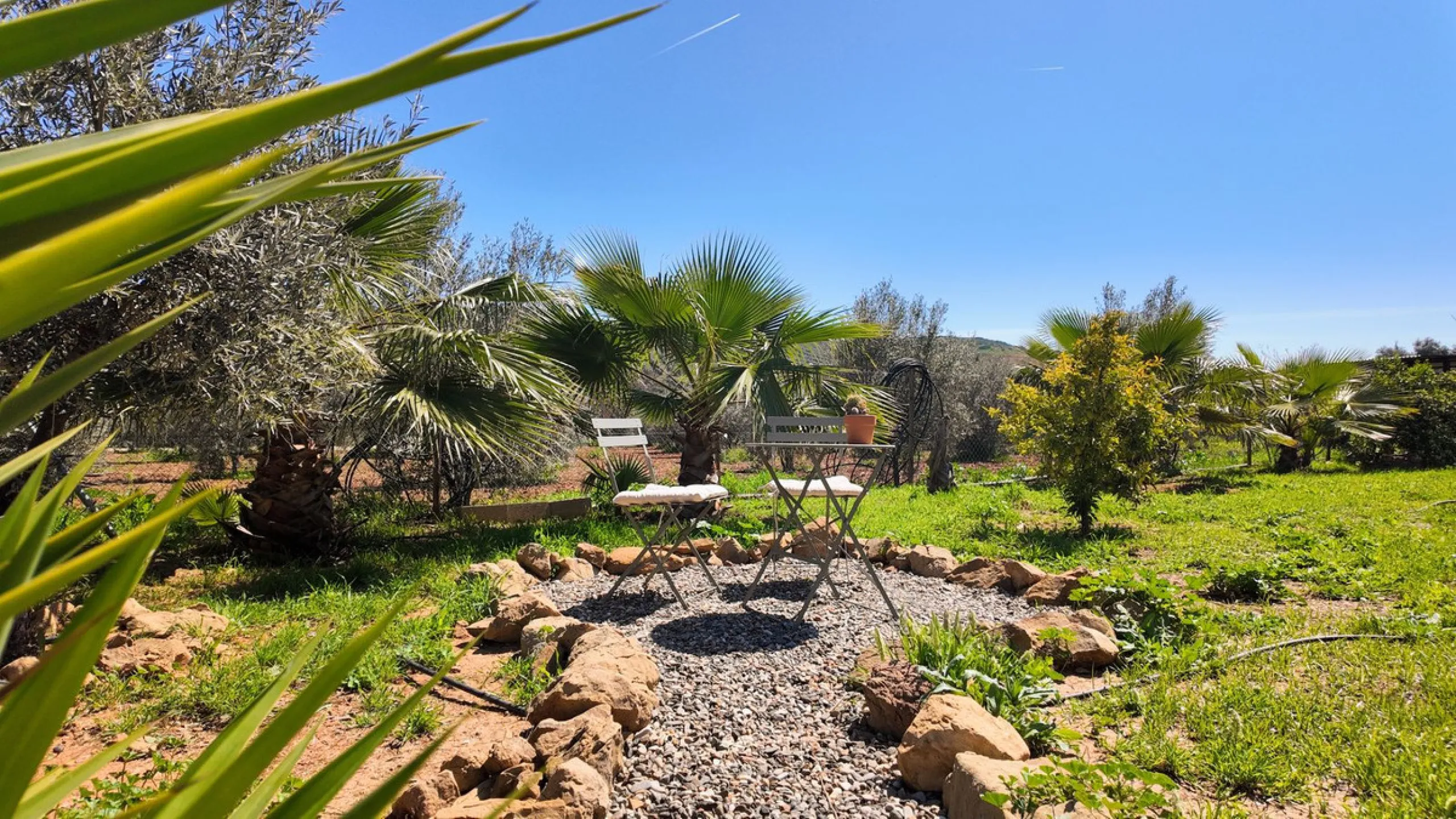 The ultimate opportunity for your dream home and B&B!