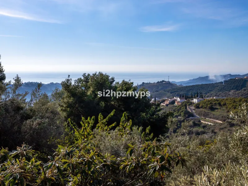 House - Detached Villa в продаже в Frigiliana, Málaga. В доме 1 спален и 1 ванных комнат. Площадь дома 48 м². Площадь участка 8980 м²