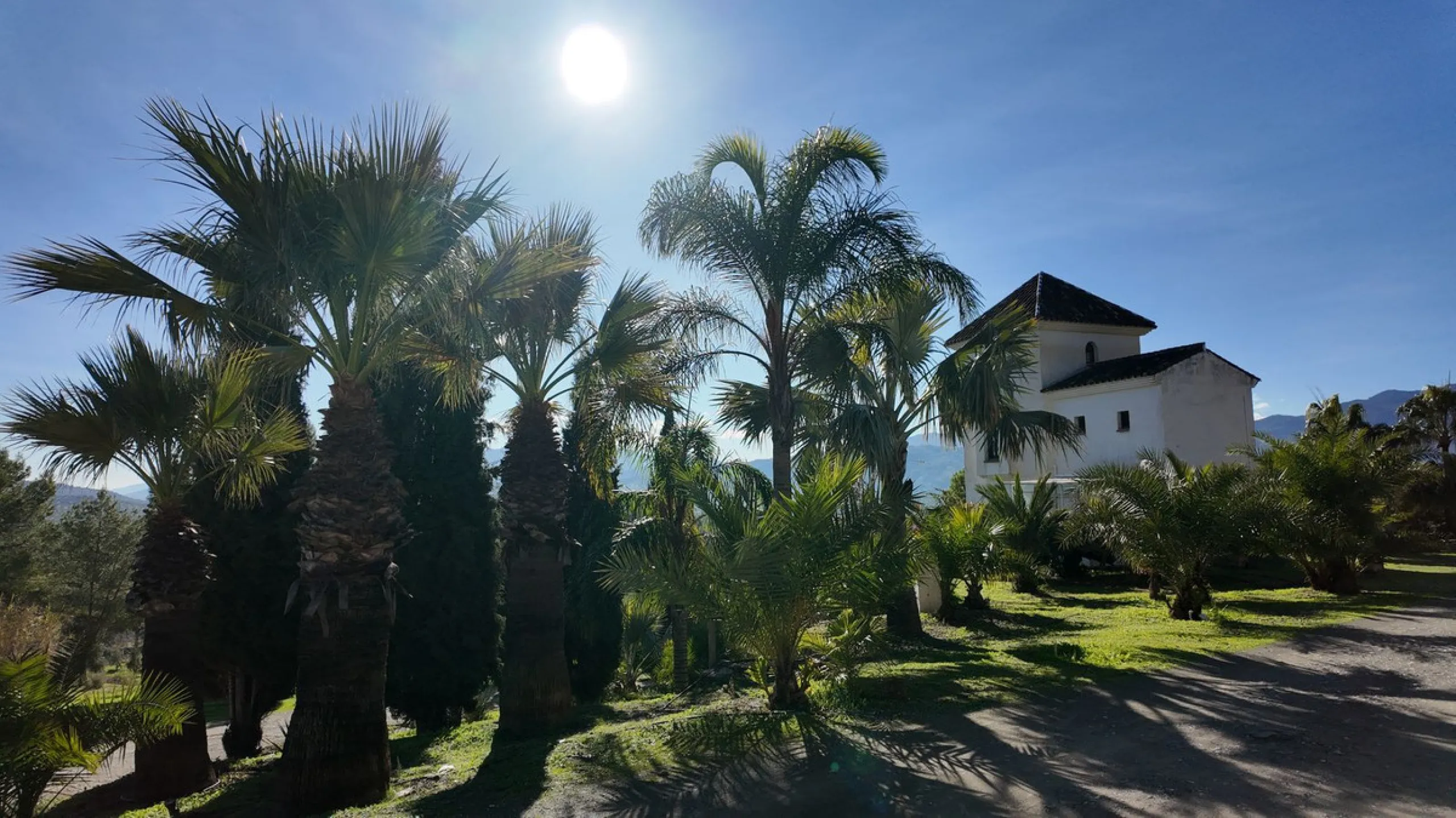 Unique Hotel in the Heart of Tolox – An Andalusian Gem Full of Charm and Potential