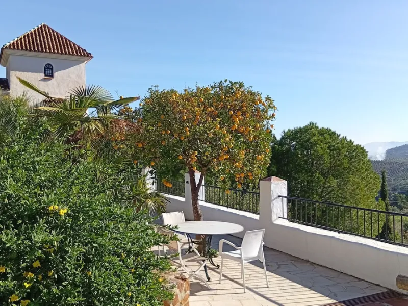 Unique Hotel in the Heart of Tolox – An Andalusian Gem Full of Charm and Potential