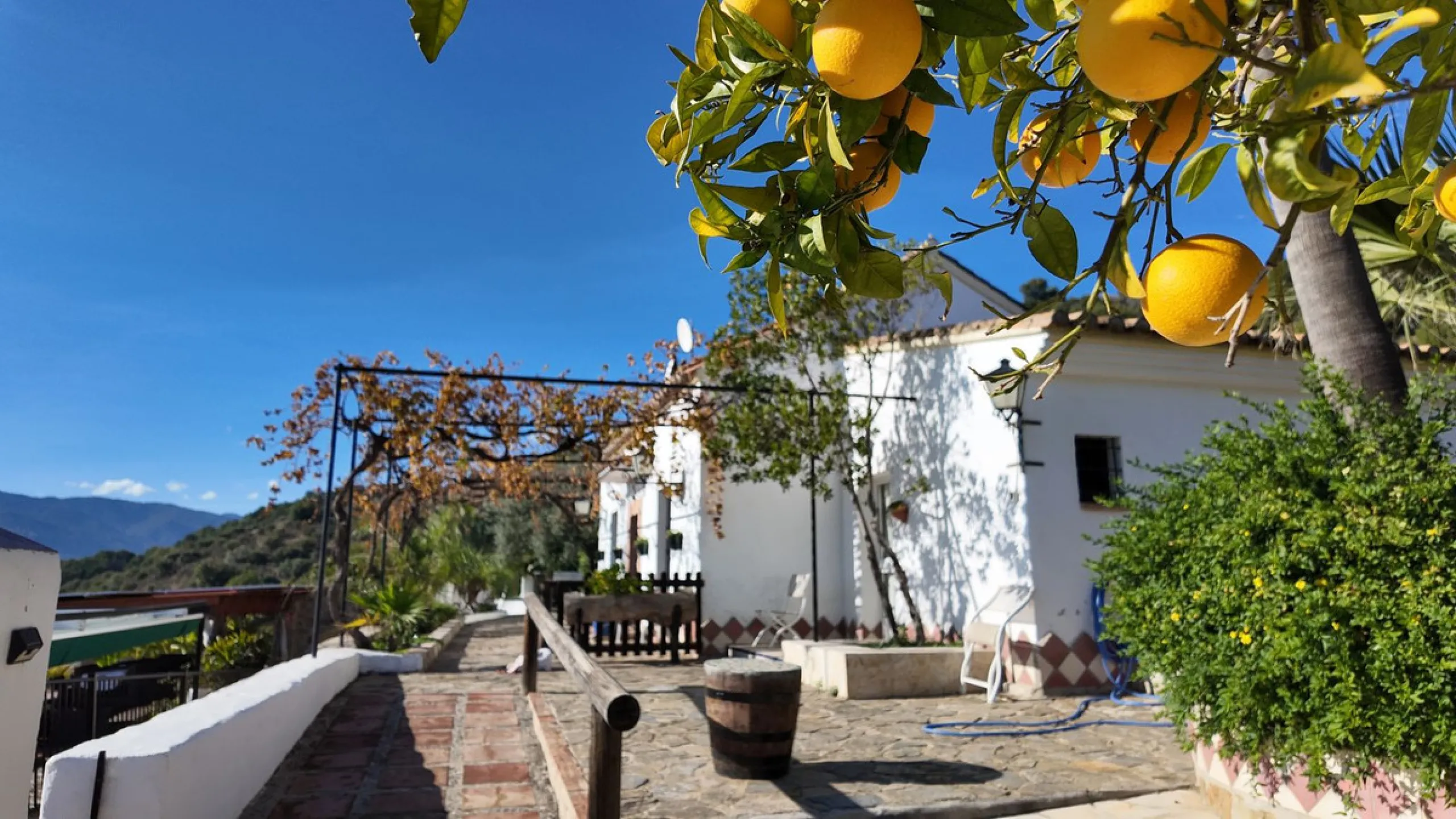 Unique Hotel in the Heart of Tolox – An Andalusian Gem Full of Charm and Potential