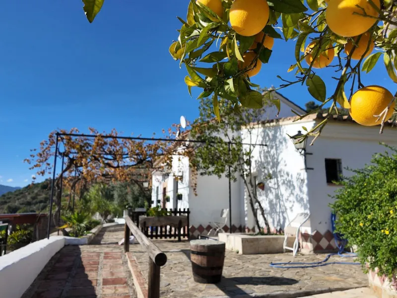 Unique Hotel in the Heart of Tolox – An Andalusian Gem Full of Charm and Potential