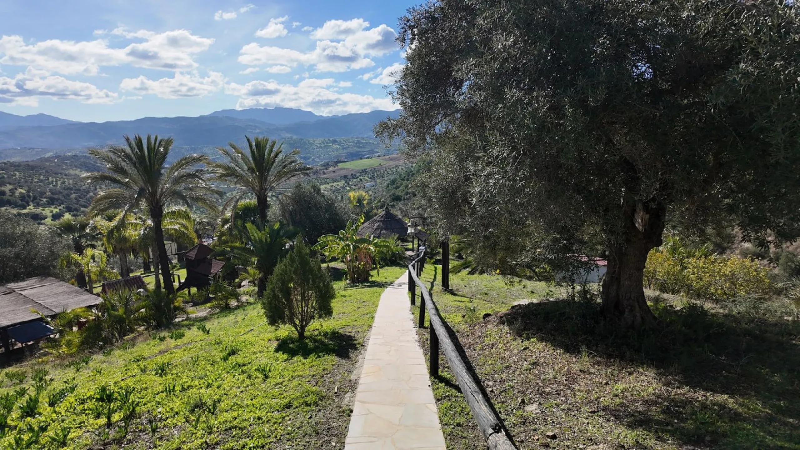 Unique Hotel in the Heart of Tolox – An Andalusian Gem Full of Charm and Potential