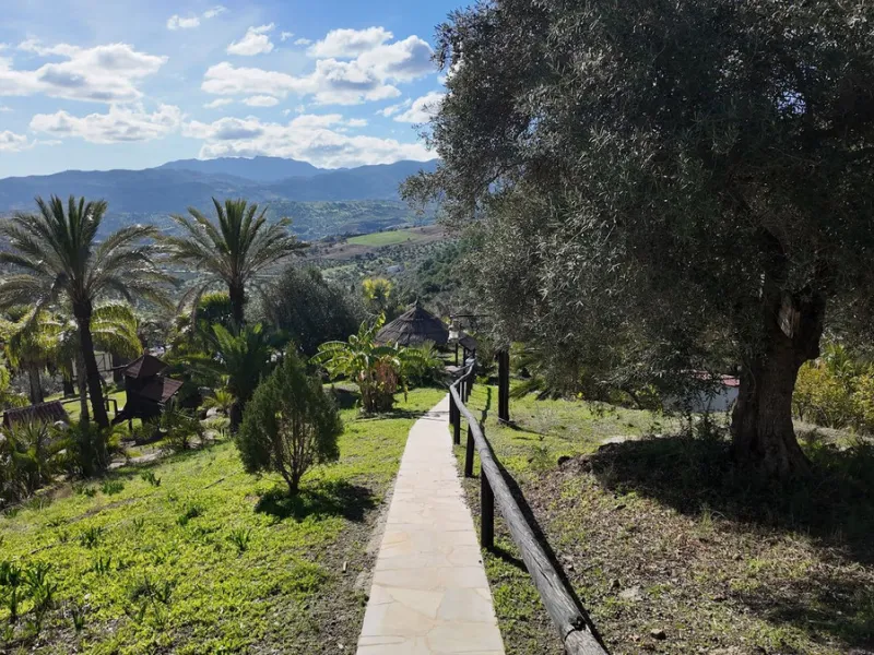 Unique Hotel in the Heart of Tolox – An Andalusian Gem Full of Charm and Potential