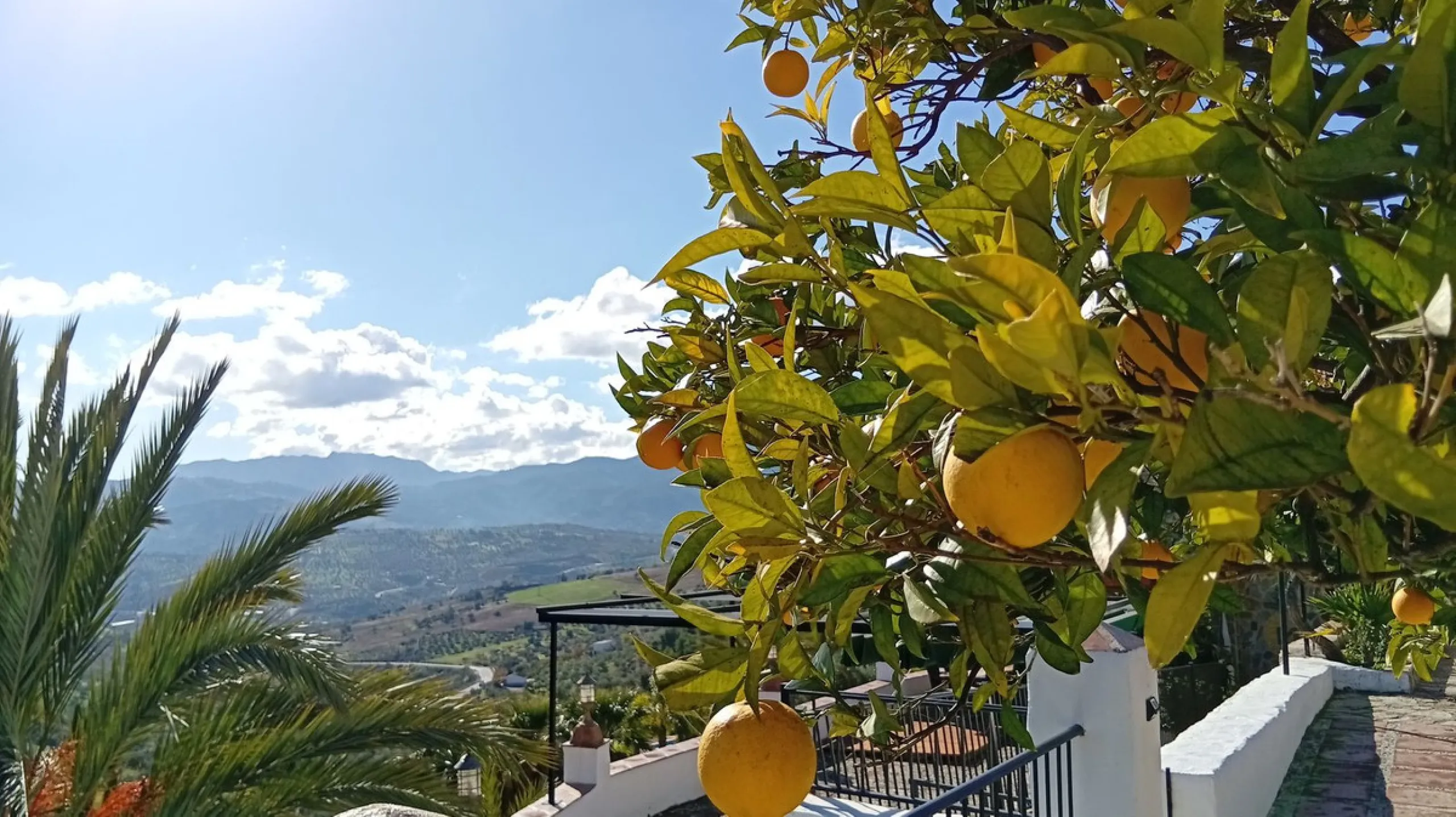 Unique Hotel in the Heart of Tolox – An Andalusian Gem Full of Charm and Potential