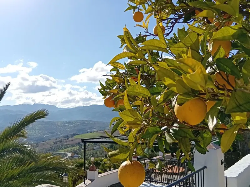 Unique Hotel in the Heart of Tolox – An Andalusian Gem Full of Charm and Potential