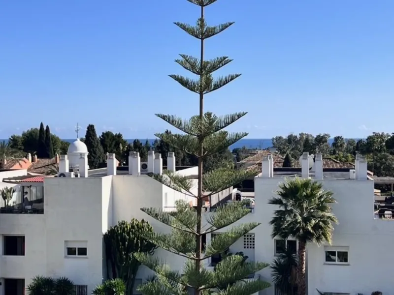 This charming top-floor apartment, located in the sought-after Guadalmina Baja, offers a comfortable and modern living experience. The apartment features two spacious bedrooms and two renovated bathrooms. The open-concept layout creates a seamless flow be