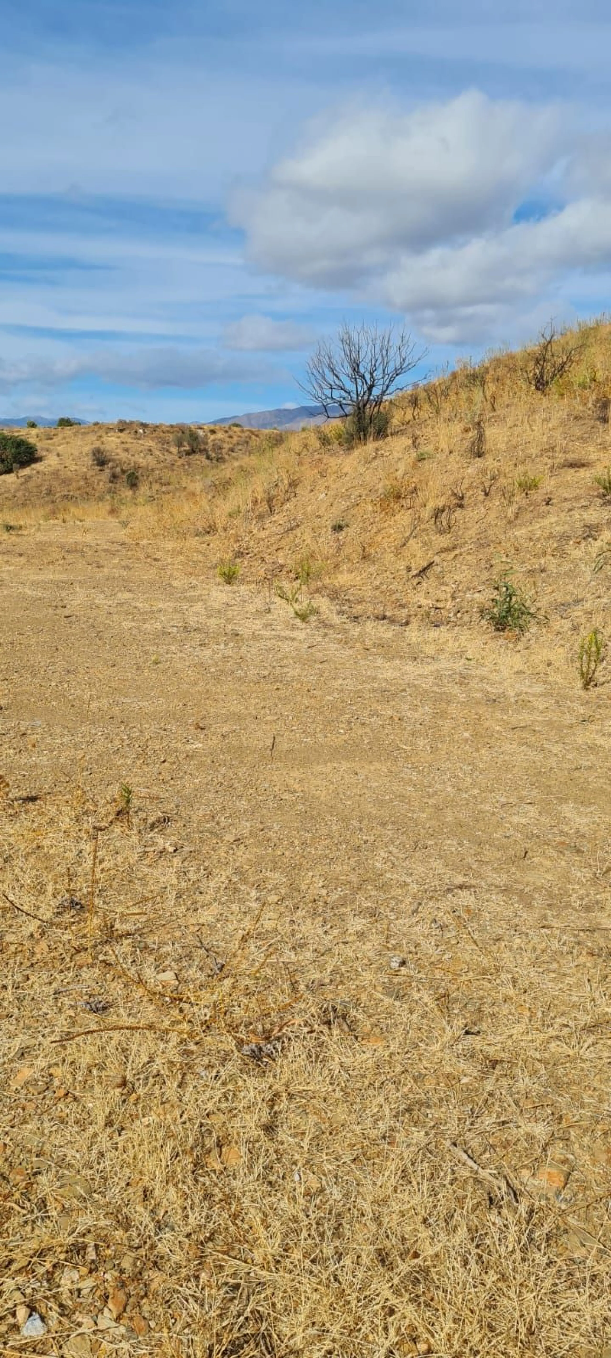 Panoramic Plot in Lomas de los Flamencos, Mijas