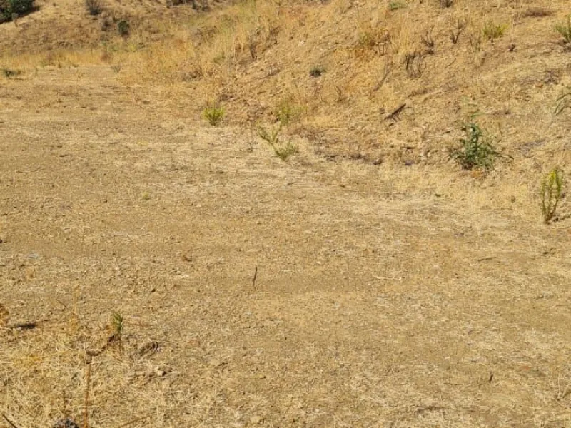 Panoramic Plot in Lomas de los Flamencos, Mijas