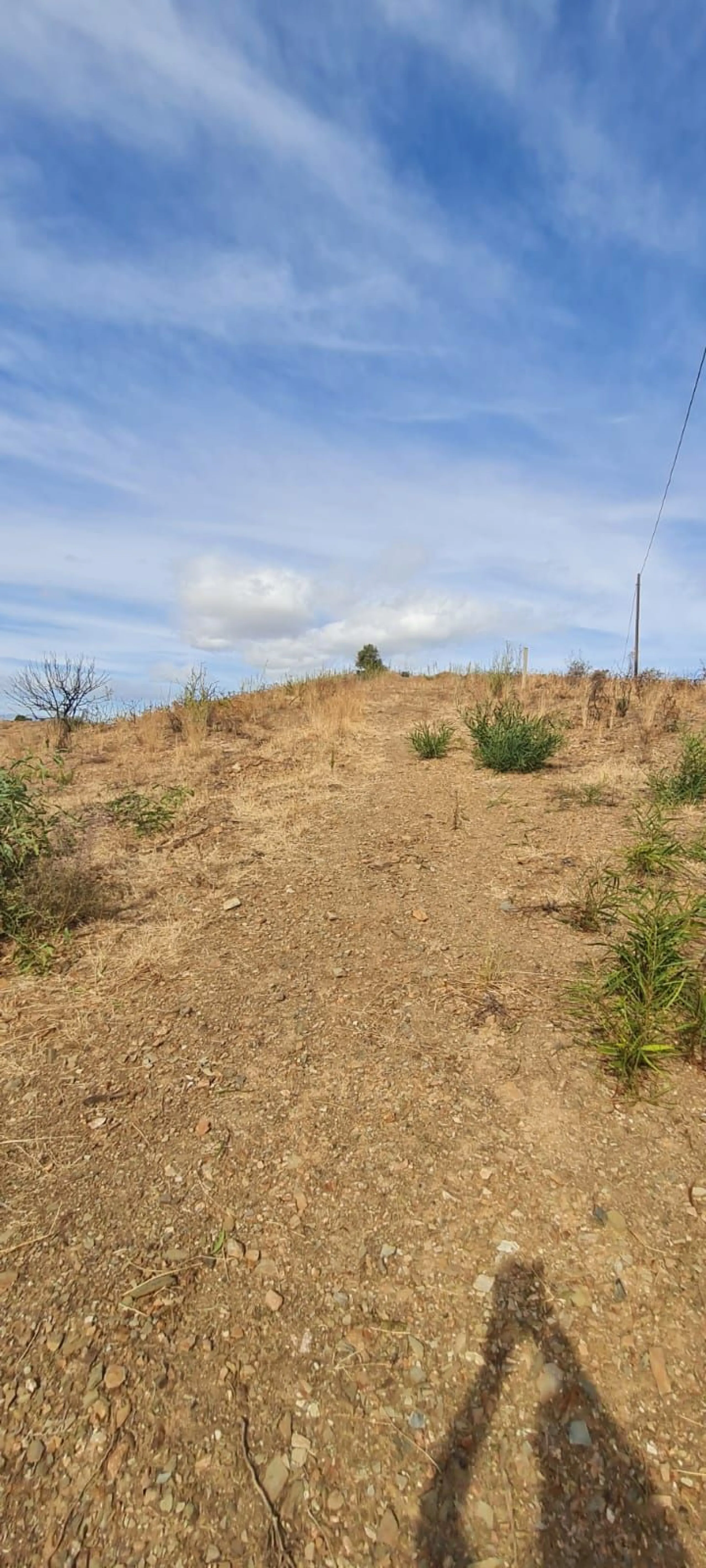Panoramic Plot in Lomas de los Flamencos, Mijas