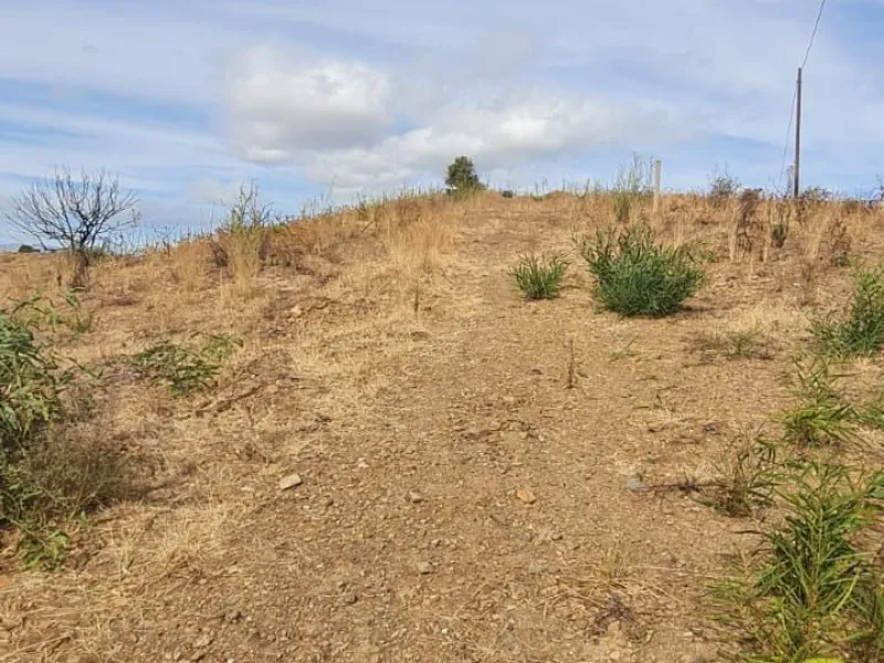 Panoramic Plot in Lomas de los Flamencos, Mijas
