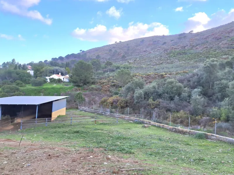 An exclusive estate is presented in Campo Mijas, a distinguished area of Mijas in the province of Málaga. This remarkable property stands out for its impressive 100,000 m² plot, offering an oasis of privacy and endless possibilities in an incomparable nat