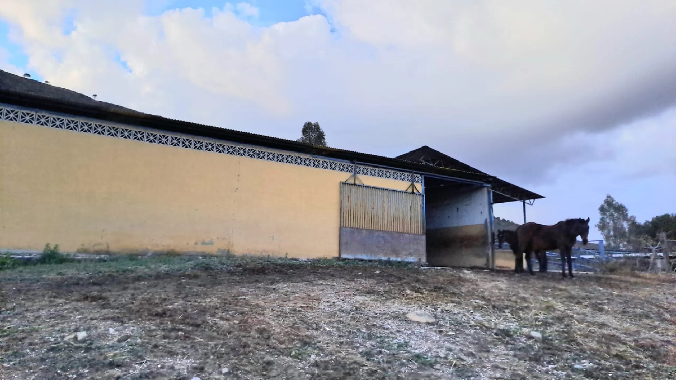 Commercial - Other в продаже в Mijas, Málaga. В доме 8 спален и 10 ванных комнат. Площадь дома 2650 м². Площадь участка 100000 м²