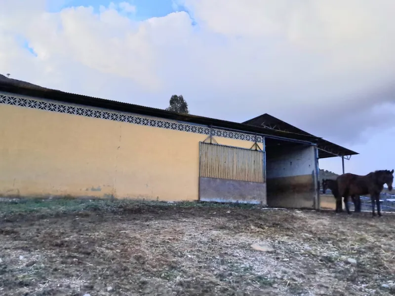 Commercial - Other в продаже в Mijas, Málaga. В доме 8 спален и 10 ванных комнат. Площадь дома 2650 м². Площадь участка 100000 м²