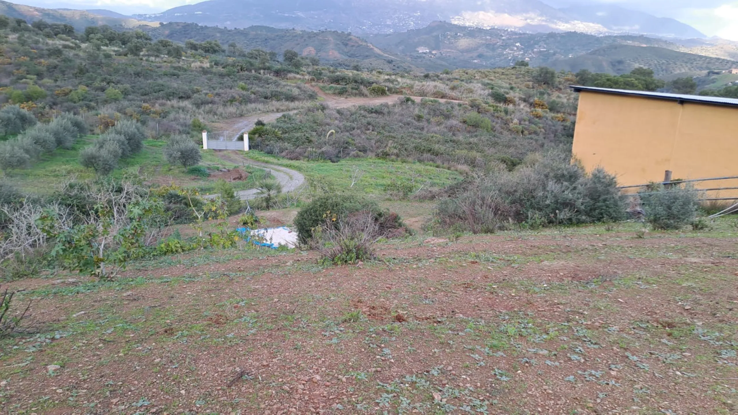 Commercial - Other в продаже в Mijas, Málaga. В доме 8 спален и 10 ванных комнат. Площадь дома 2650 м². Площадь участка 100000 м²