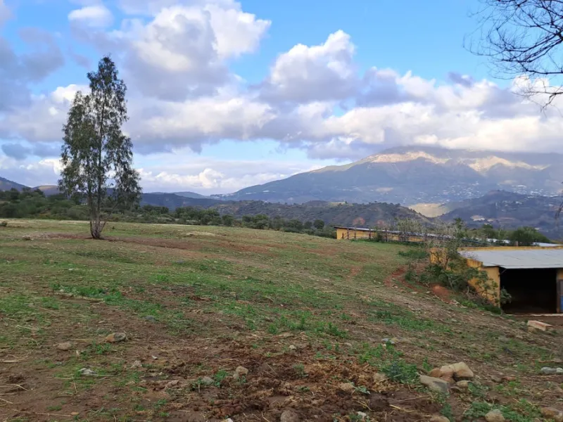 Commercial - Other в продаже в Mijas, Málaga. В доме 8 спален и 10 ванных комнат. Площадь дома 2650 м². Площадь участка 100000 м²