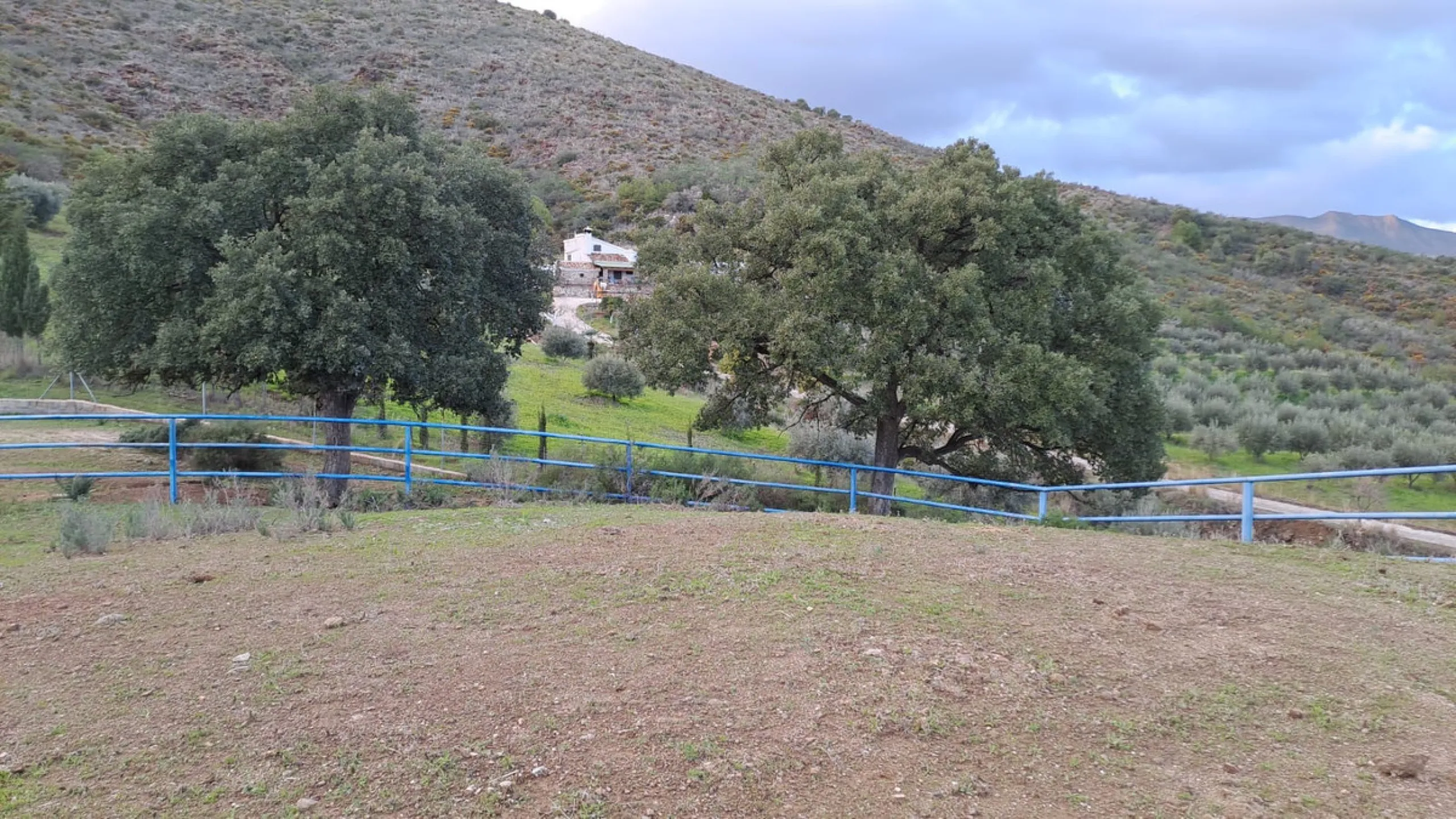 Commercial - Other в продаже в Mijas, Málaga. В доме 8 спален и 10 ванных комнат. Площадь дома 2650 м². Площадь участка 100000 м²