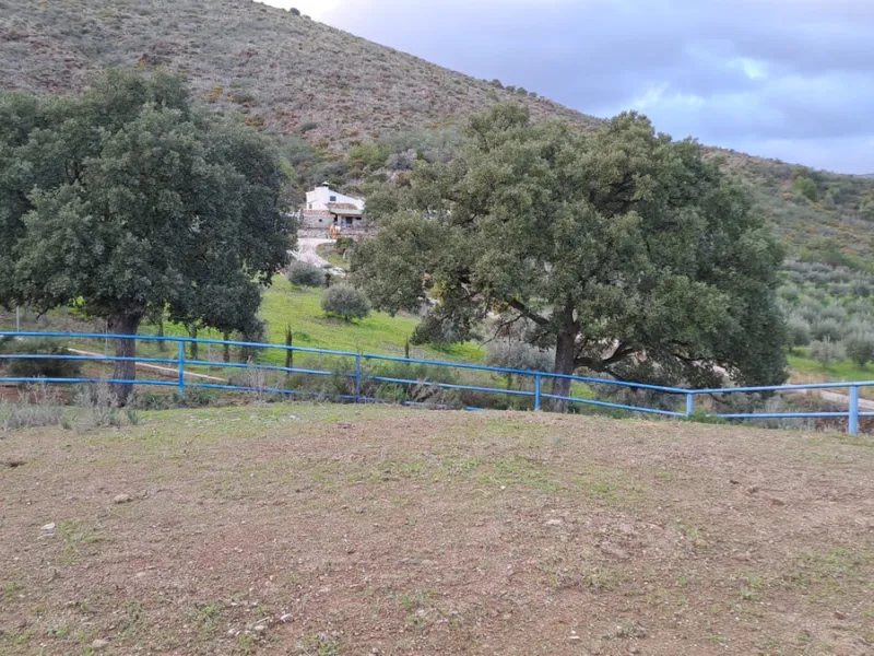 Commercial - Other в продаже в Mijas, Málaga. В доме 8 спален и 10 ванных комнат. Площадь дома 2650 м². Площадь участка 100000 м²