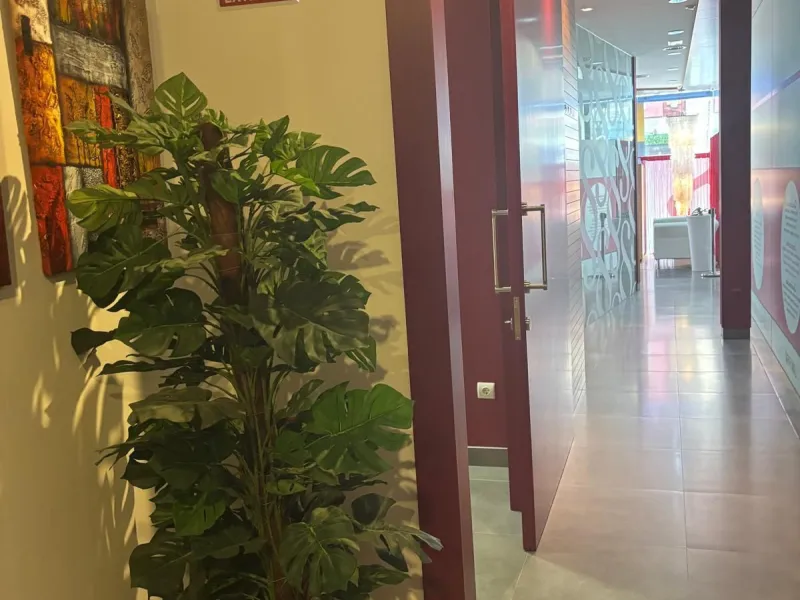 Commercial - Office в продаже в Benalmadena, Málaga. В доме 1 спален и 1 ванных комнат. Площадь дома 170 м²