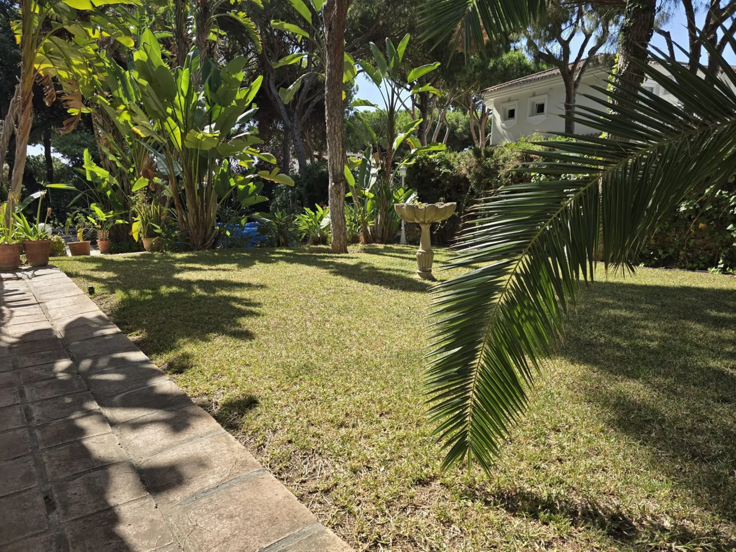 Charming south-facing villa located 400m from amenities and the beach in a prestigious area. The property boasts a large garden, swimming pool, and barbecue area, ideal for gatherings with family or friends. Its bright and spacious interior features a ful