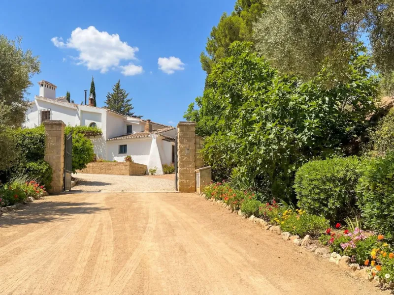 Three seperate homes for one price!