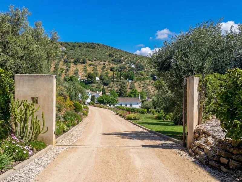 Three seperate homes for one price!