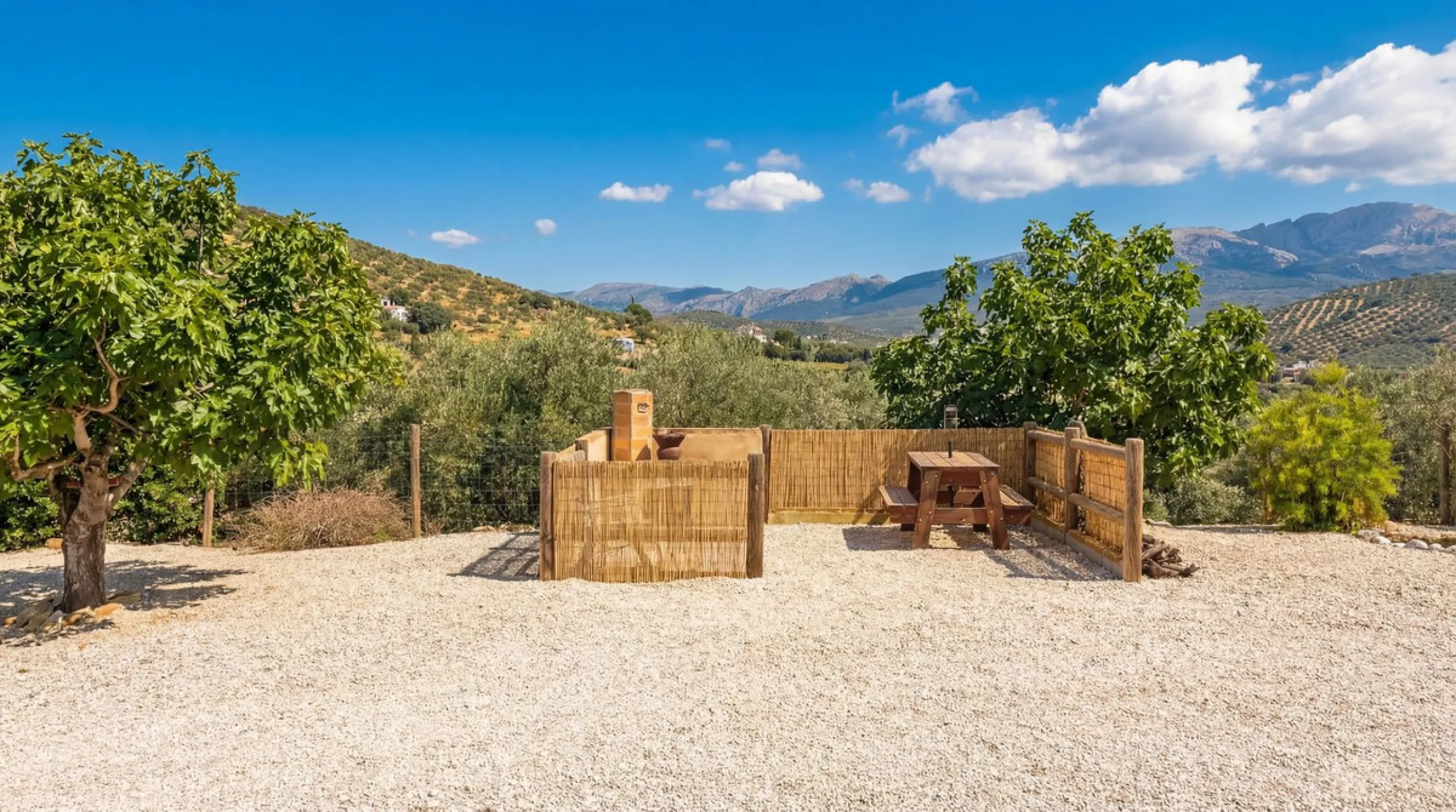 Three seperate homes for one price!