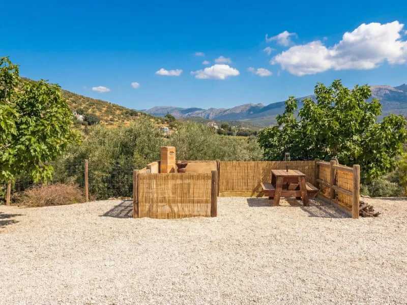Three seperate homes for one price!