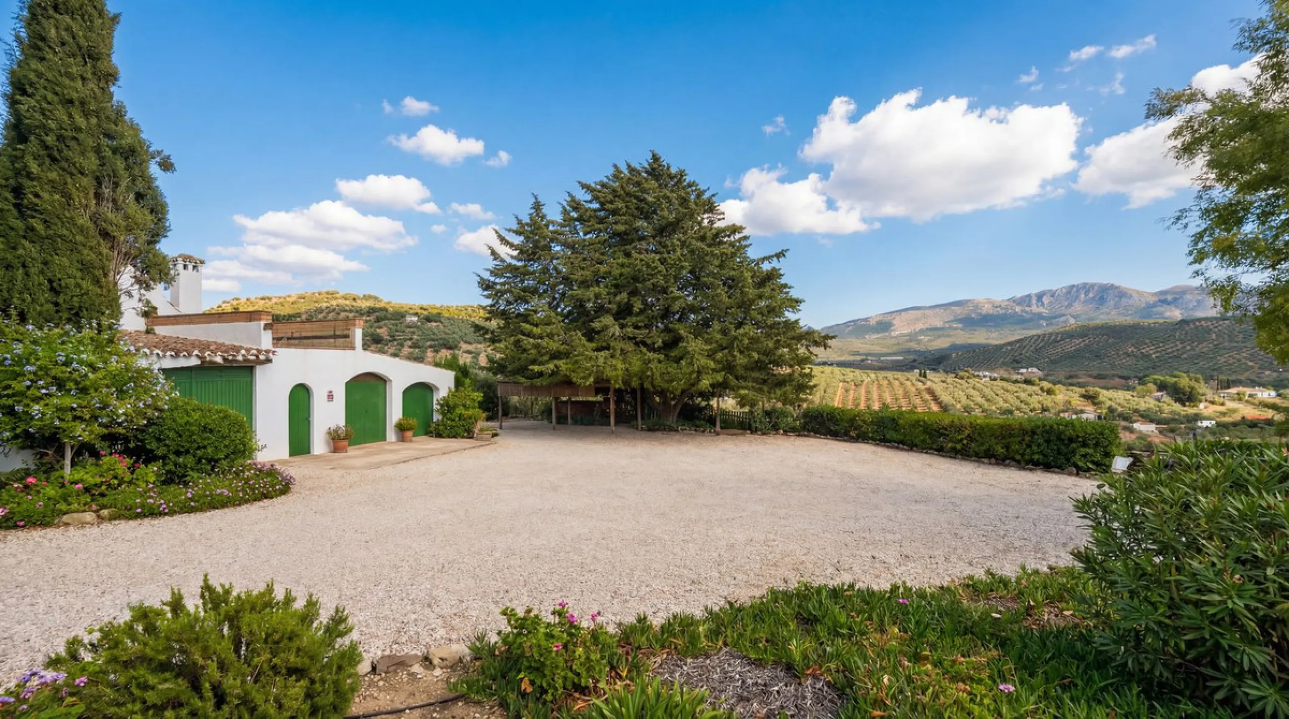 Three seperate homes for one price!