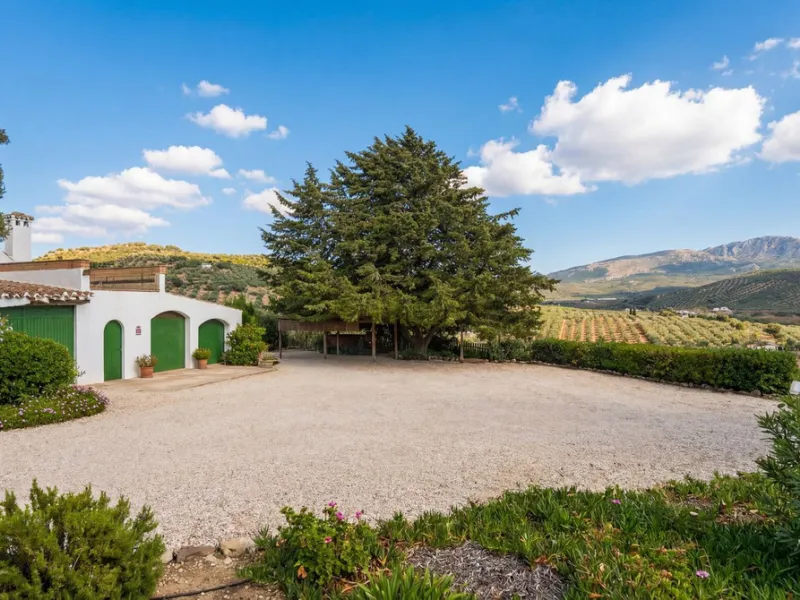 Three seperate homes for one price!