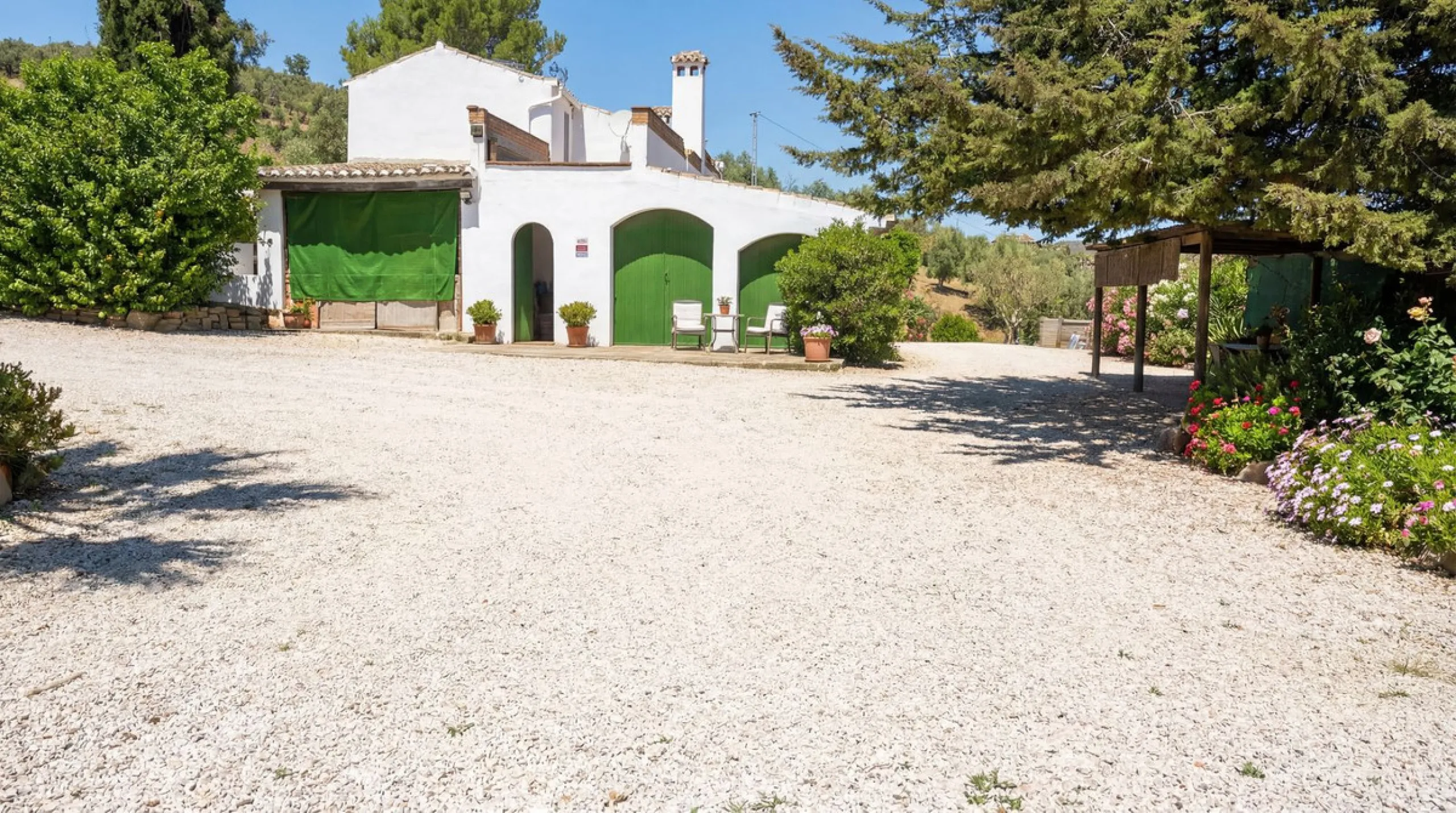 Three seperate homes for one price!