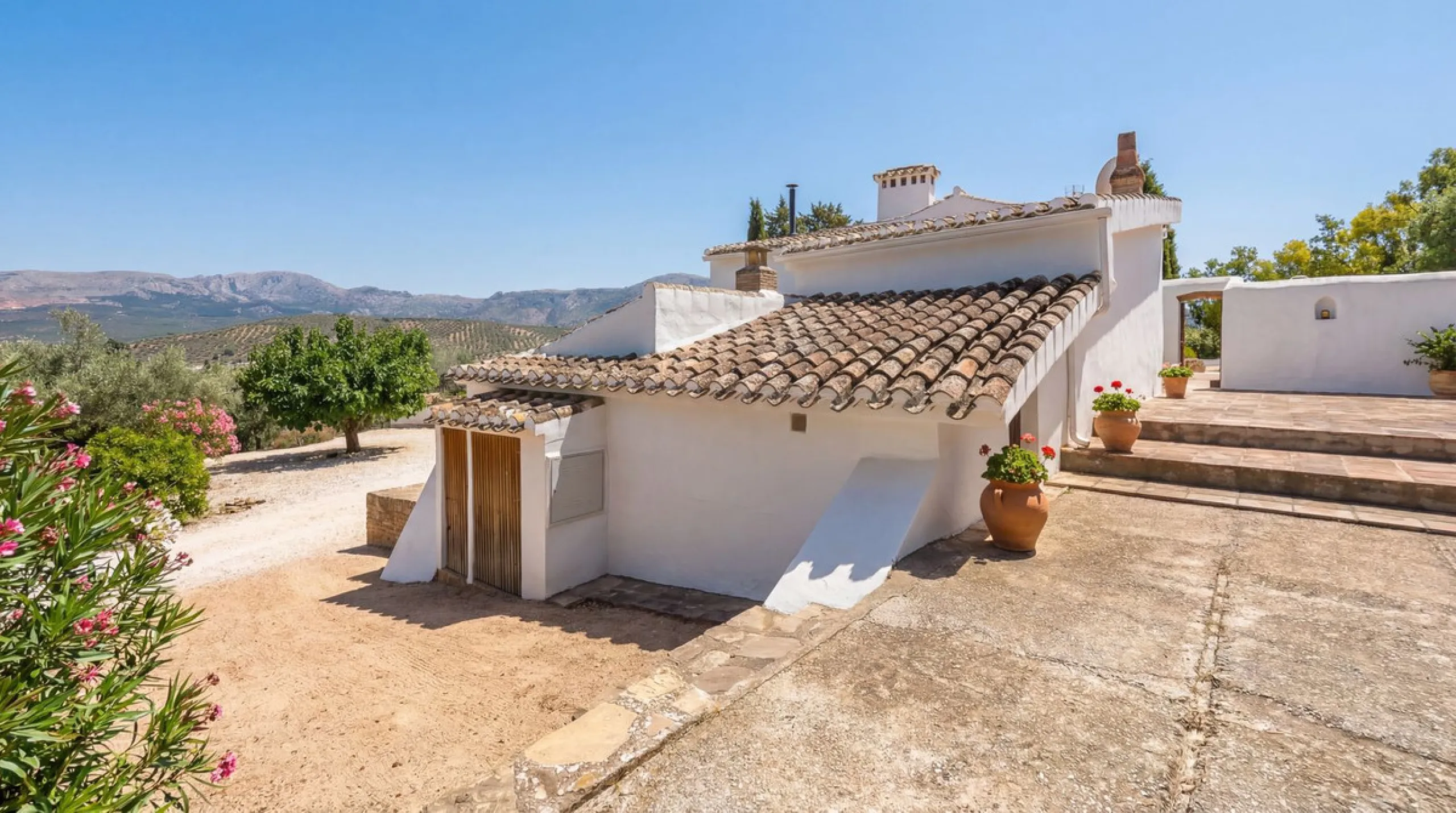 Three seperate homes for one price!