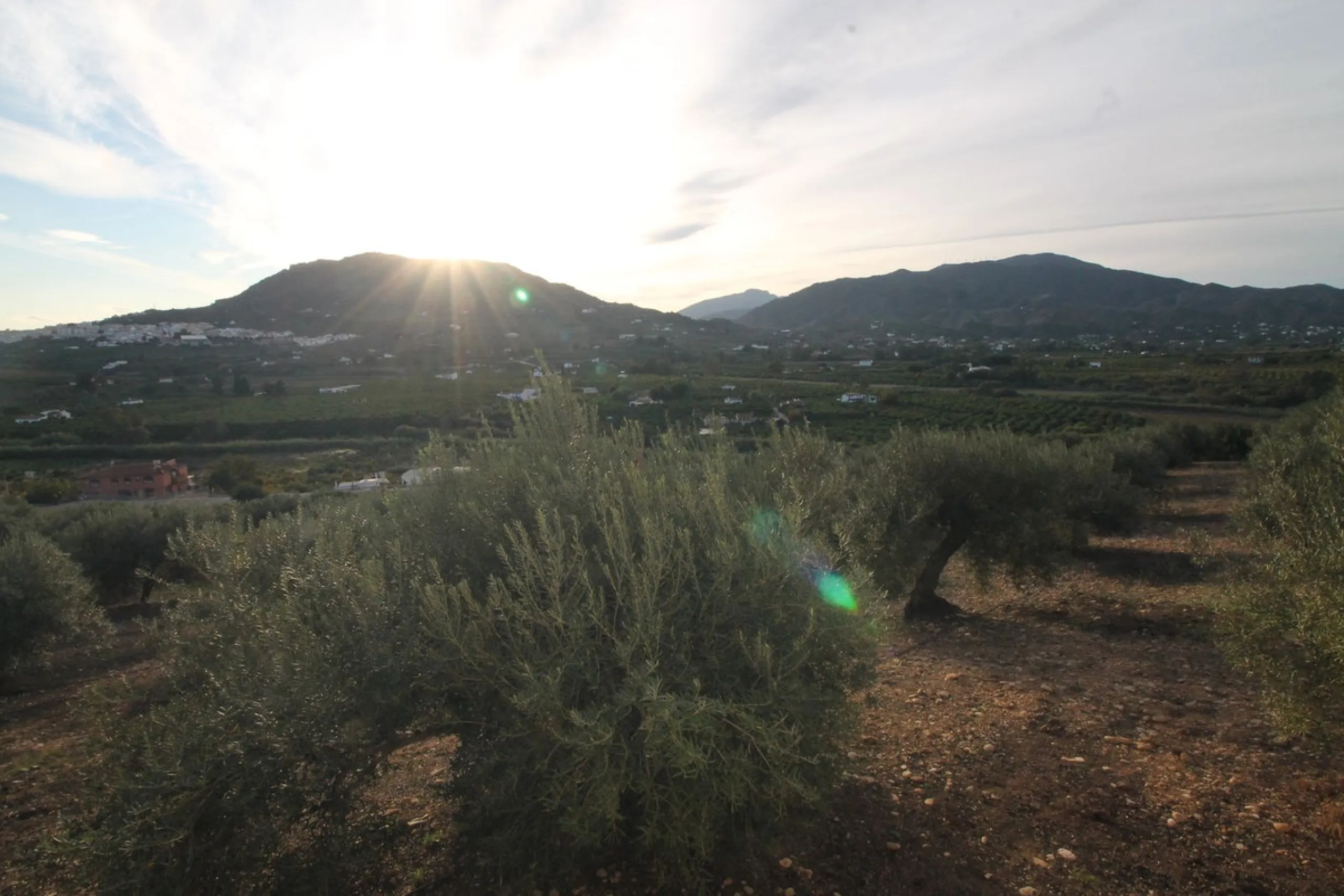 Plot - Residential Plot в продаже в Alora, Málaga. Площадь дома 330 м². Площадь участка 10000 м²